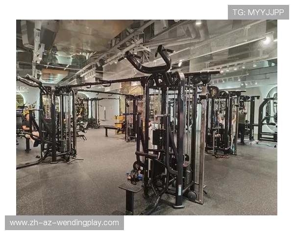 高端健身器材批发市场现状及优质供应商